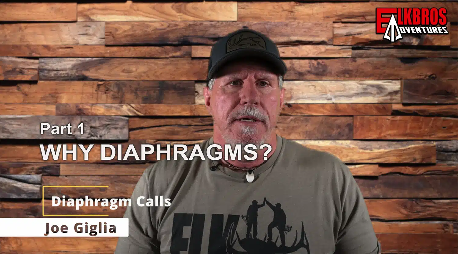 Why Diaphragms